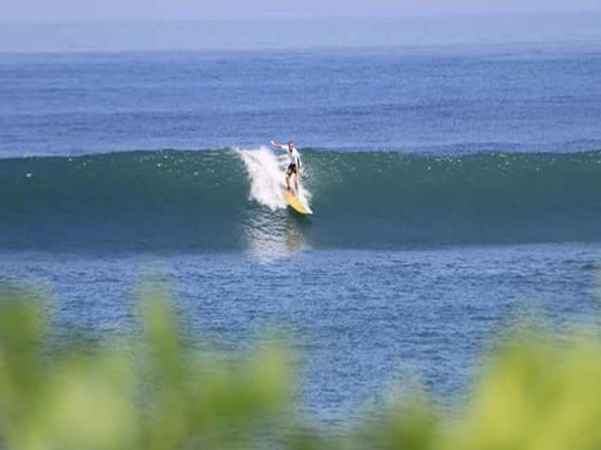 The Nest Canggu מראה חיצוני תמונה